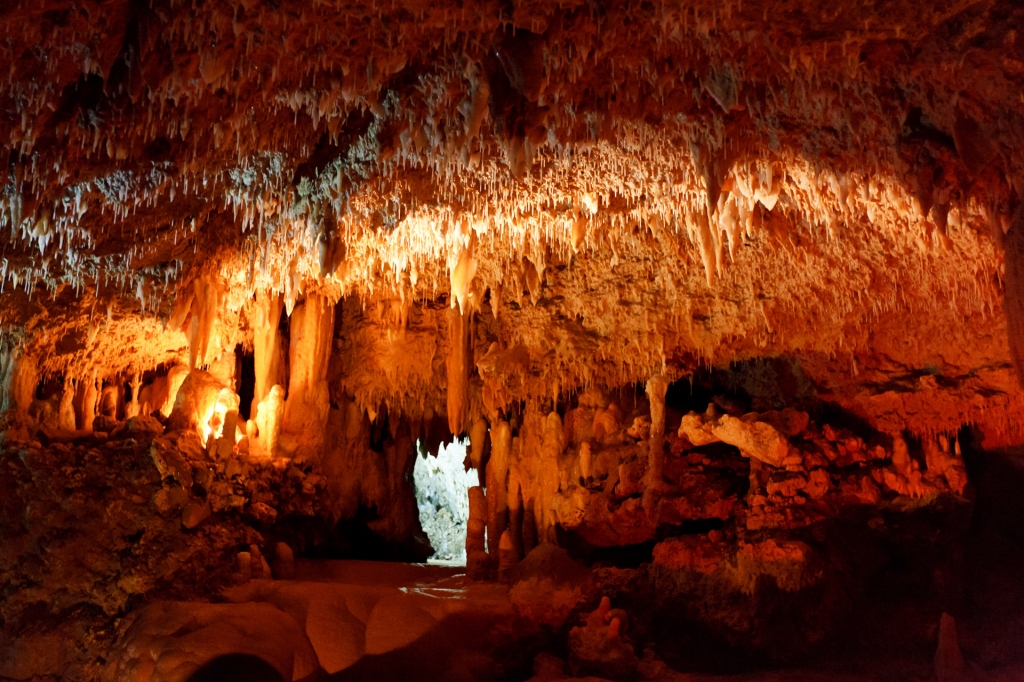 The Best Vacation Activities
