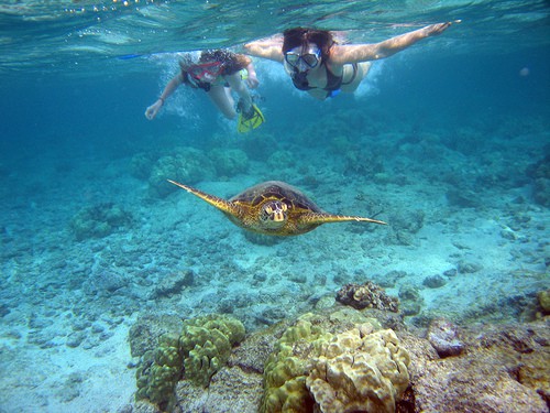 The Best Vacation Activities