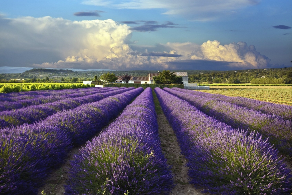 Luxury Locales The French Countryside Rental Escapes