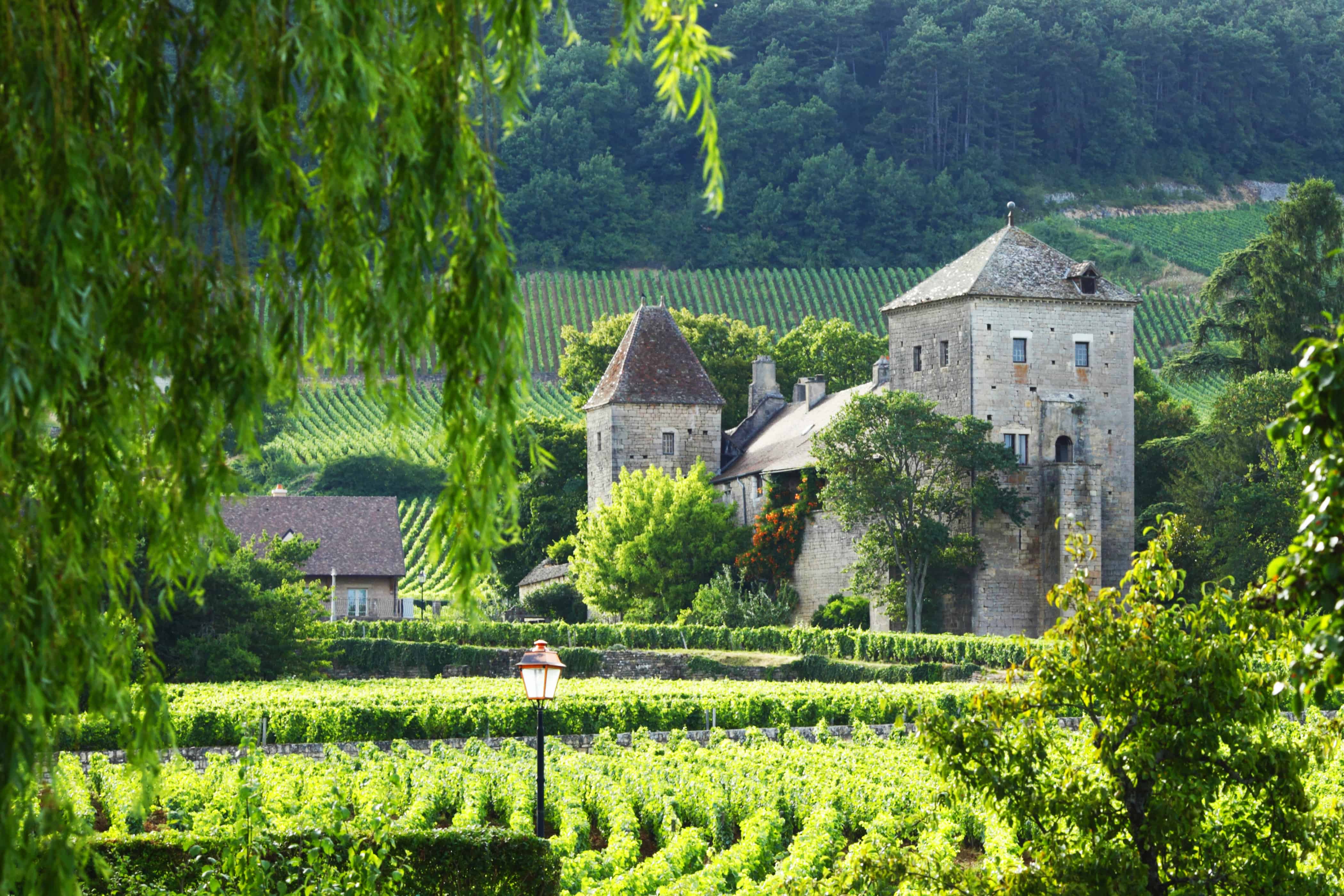 The french countryside burgundy rental escapes