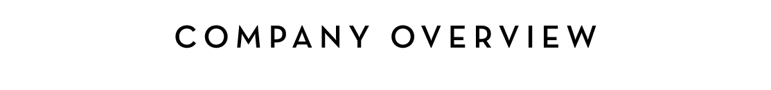  COMPANY OVERVIEW