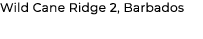 Wild Cane Ridge 2, Barbados