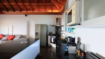 Kitchen:  Open to the living room and the covered outdoor dining room. View of the tropical and