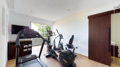 Fitness Room: Elliptical stepper, Treadmill, Sport accessories, Air Conditioning, Blue-Ray Player, T