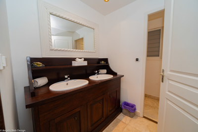 Habitation Saint Louis | Bedroom 1 en-suite bath with shower, double vanity and hair dryer.