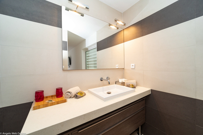 Habitation Saint Louis | Bedroom 3 en-suite bath with shower and hair dryer.