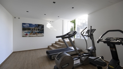 Fitness Room: On the lower level. Air conditioned, HD-TV, Well-equipped with a treadmill, a stepper,