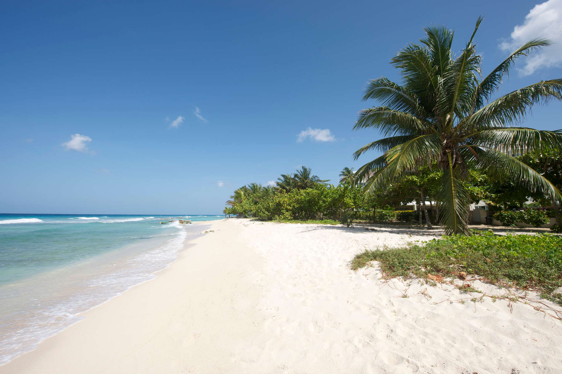 Palm Beach 110 Palm Beach Condos Barbados Rental Escapes